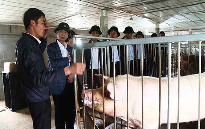 Quảng Ninh: Đưa chăn nuôi thành mũi nhọn phát triển kinh tế