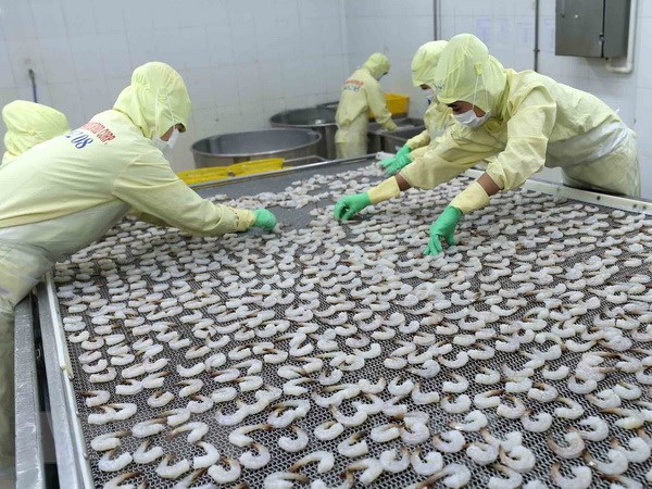 Khắc phục tình trạng các lô hàng thủy sản Việt Nam bị trả về