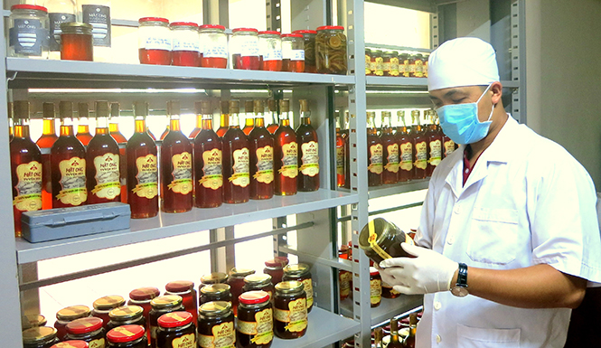 Sánh vàng mật ong Tuyên Hóa