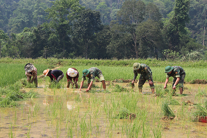 Đẩy mạnh giảm nghèo bền vững