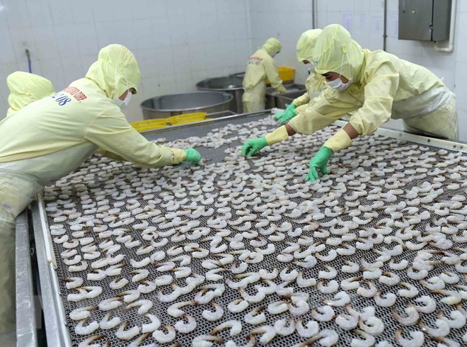Thủy sản Việt Nam phát triển trên ba trụ cột để vượt qua khó khăn