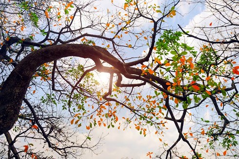 Thời tiết ngày 10-4: Bắc Bộ khô ráo, Nam Bộ nắng nóng, có mưa dông