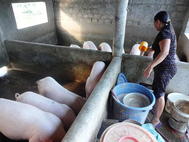 Thị xã Ba Đồn huy động được 1,2 tỷ đồng Quỹ 'Vì người nghèo'