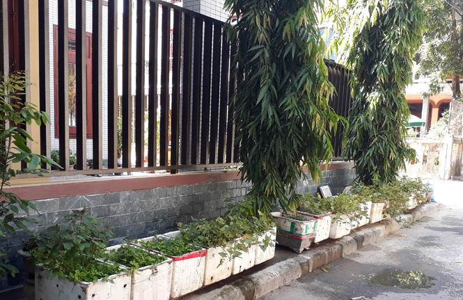 Để thực sự là "văn minh đô thị"