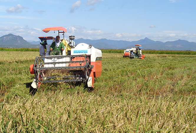 Nông dân Quảng Ninh đoàn kết, sáng tạo xây dựng nông thôn mới