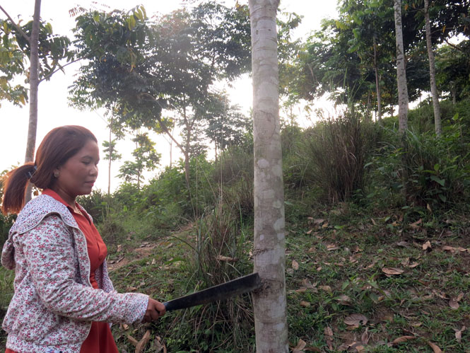 Nâng cao hiệu quả cho phụ nữ nghèo phát triển kinh tế
