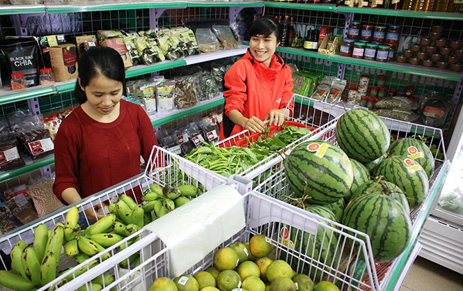 Đẩy mạnh liên kết sản xuất nông nghiệp theo chuỗi giá trị