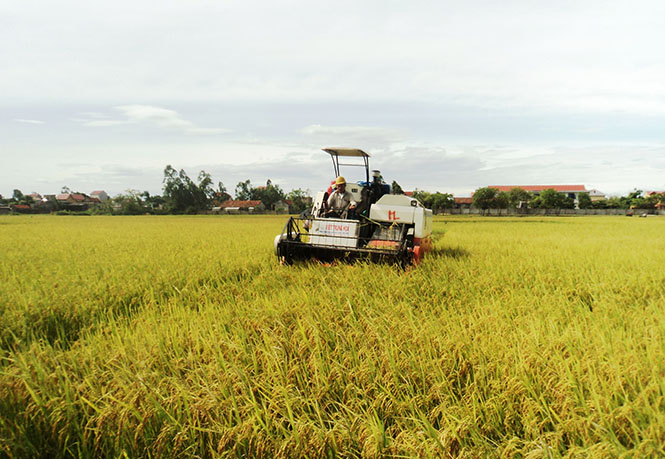 Đẩy mạnh cơ giới hóa trong sản xuất nông nghiệp
