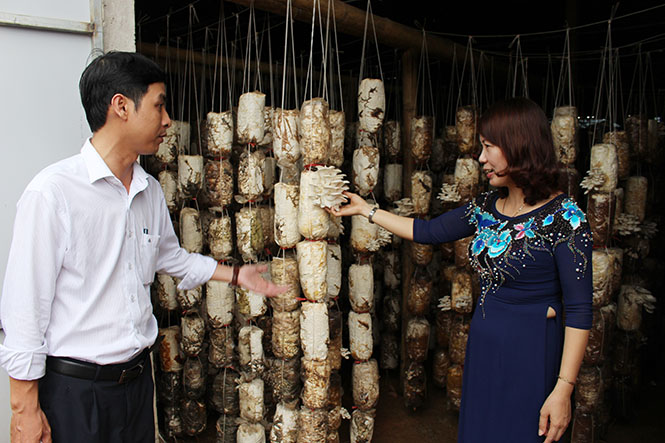 Thực hiện Chỉ thị 05-CT/TW ở huyện Bố Trạch: Nhiều cách làm hay, mô hình sáng tạo