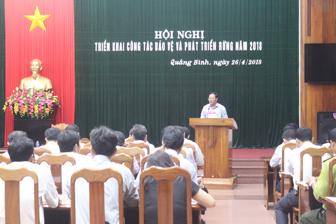 Tăng cường công tác quản lý, bảo vệ rừng