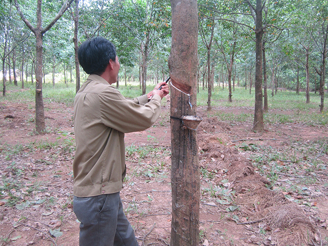 Thực hiện pháp luật lao động tại các doanh nghiệp