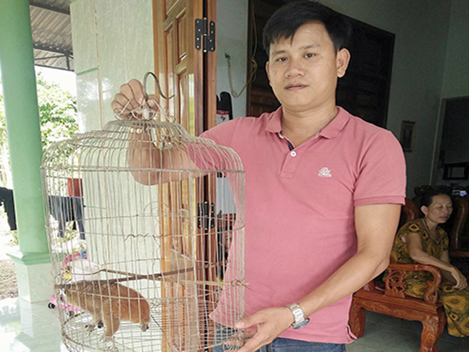 Người dân tự nguyện giao nộp động vật hoang dã quý hiếm