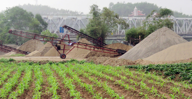 Yêu cầu chấn chỉnh, xử lý kịp thời các sai phạm