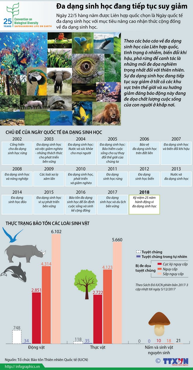 [Infographics] Cảnh báo đa dạng sinh học đang tiếp tục suy giảm