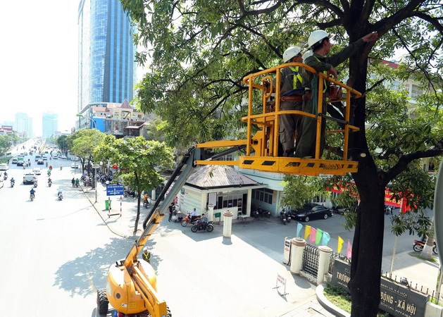 Tháng Sáu, khả năng xuất hiện 1-2 cơn bão hoặc áp thấp nhiệt đới