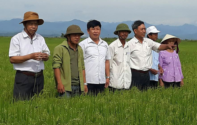 Phát huy vai trò chủ thể của nông dân trong xây dựng nông thôn mới