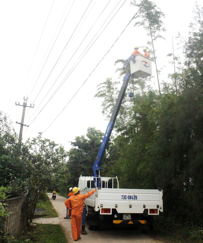 Tăng cường bảo đảm hành lang an toàn lưới điện