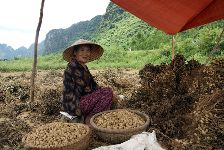Triển khai đồng bộ các giải pháp giảm nghèo