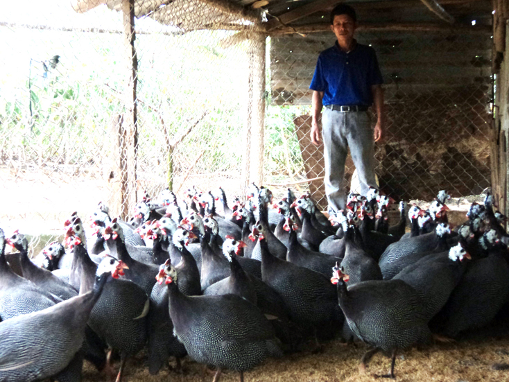Toàn tỉnh có 75 cơ sở gây nuôi sinh sản, sinh trưởng động vật rừng