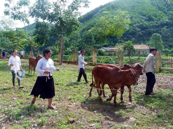 Chăm lo cho người nghèo cần có trọng tâm, trọng điểm