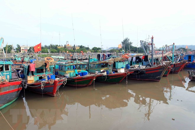 Các tỉnh thành ven biển chủ động ứng phó với áp thấp nhiệt đới