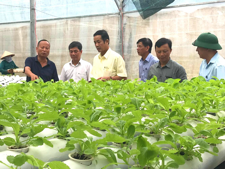 Đồng chí Phó Bí thư Thường trực Tỉnh ủy kiểm tra tình hình sản xuất