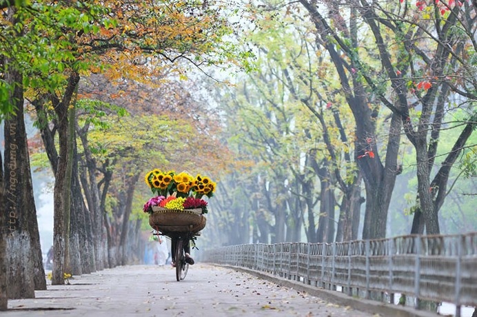 Đồng dao mùa thu