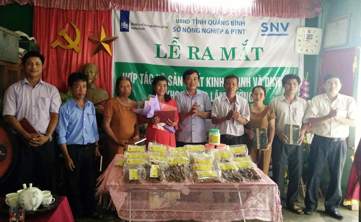 Xây dựng thương hiệu sản phẩm khoai lang vùng cát Thanh Thủy