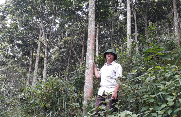 Đảng bộ huyện Minh Hóa: Tập trung lãnh đạo thực hiện 2 chương trình kinh tế trọng điểm