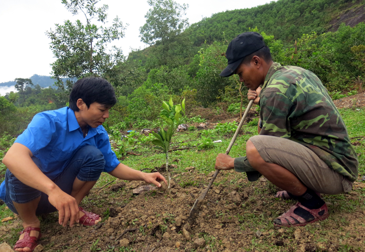 Dấu ấn tình nguyện