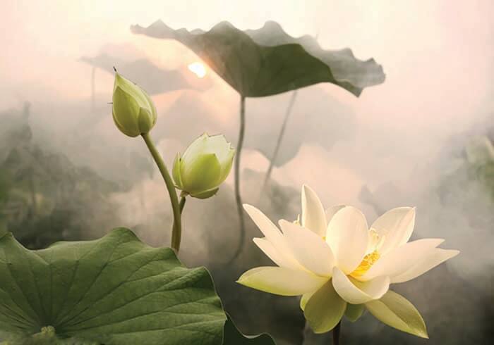 Khúc tiễn biệt