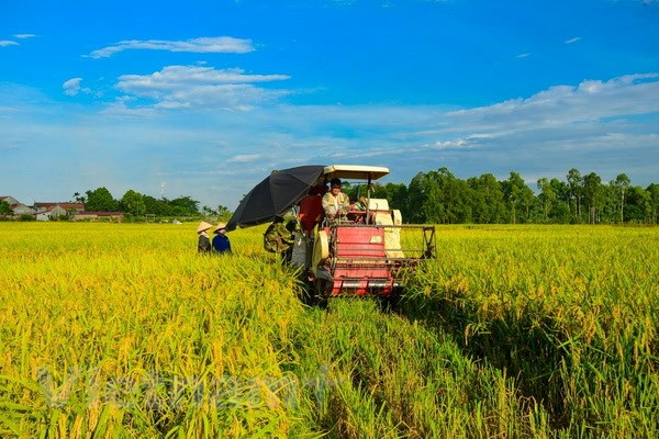 Kỳ họp thứ 6, Quốc hội khóa XIV: Cần sửa đổi chính sách hạn điền