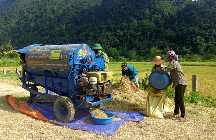 BĐBP tỉnh: Xây dựng 4 mô hình lúa nước có hiệu quả