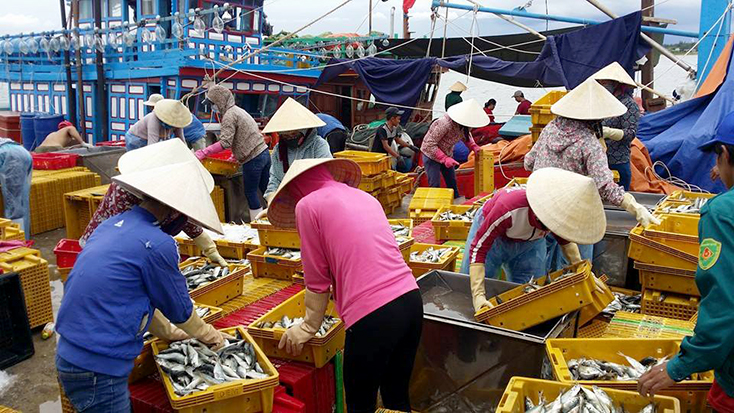Vững tin vươn khơi