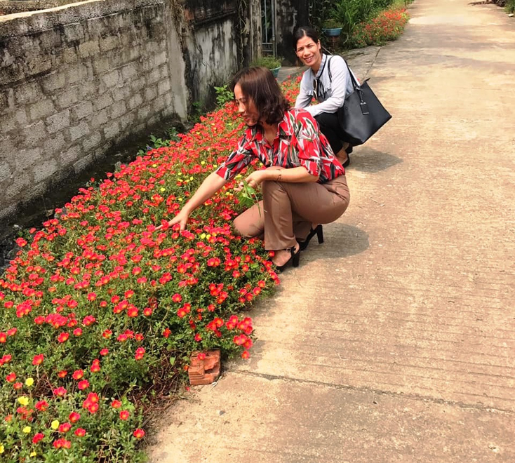 Tập huấn về chuỗi giá trị chăn nuôi gắn với giảm nghèo bền vững