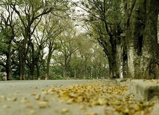Chớm lạnh đông về...