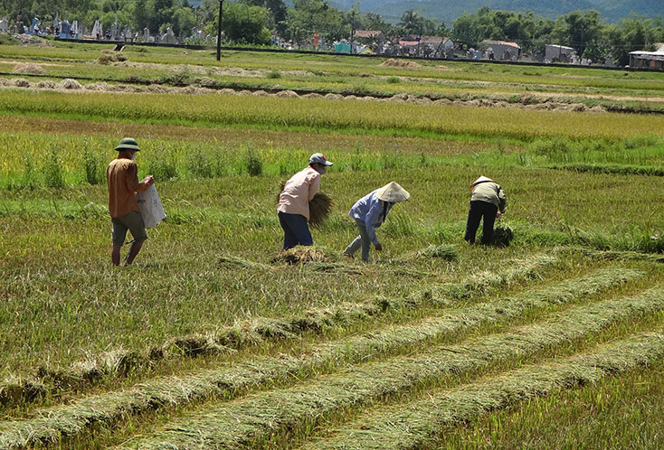 BHXH huyện Quảng Ninh: Tích cực vận động người dân tham gia bảo hiểm xã hội tự nguyện