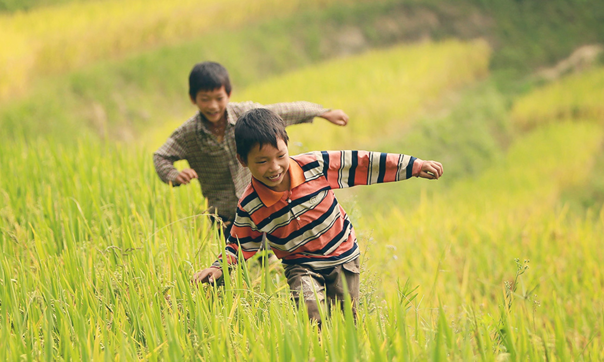 Điệp khúc mùa vàng…