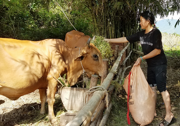 Xã Đức Hóa:  Đẩy mạnh phát triển kinh tế nông, lâm nghiệp