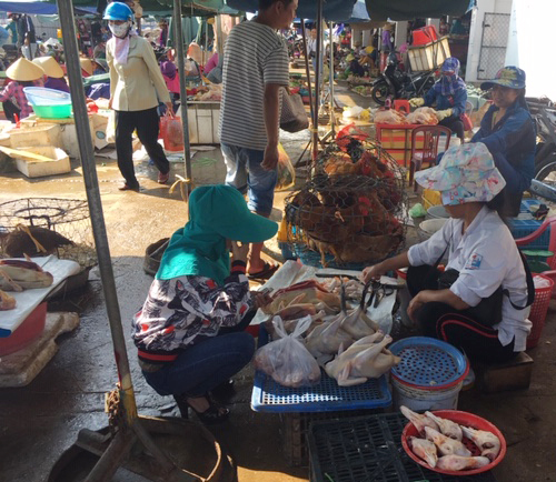 Báo động tình trạng giết mổ gia cầm tự phát tại các chợ