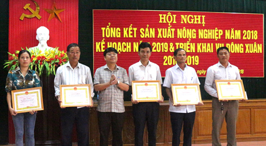 Quảng Ninh: Phấn đấu gieo trồng 4.940ha lúa vụ đông-xuân