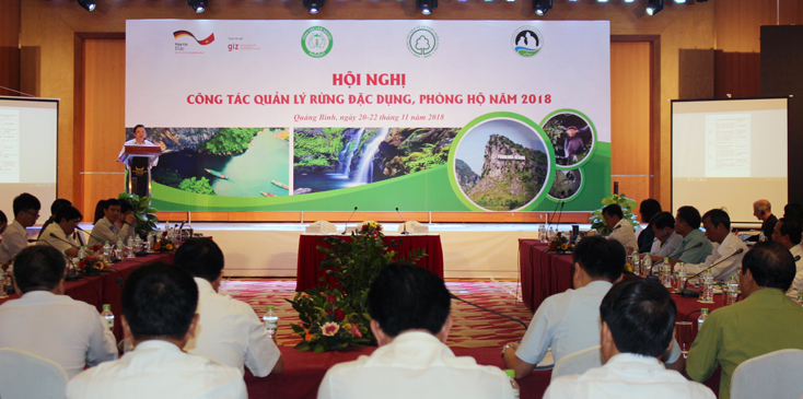 Thực hiện có hiệu quả công tác quản lý, phát triển rừng đặc dụng, phòng hộ