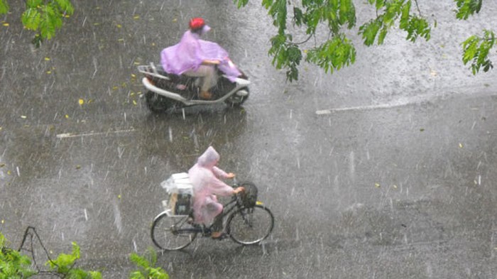 Dường như trời đã chớm đông