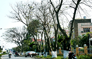 Mùa đông