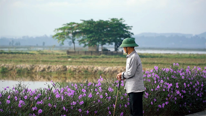 Bản tin Quảng Bình tuần qua (số 3)