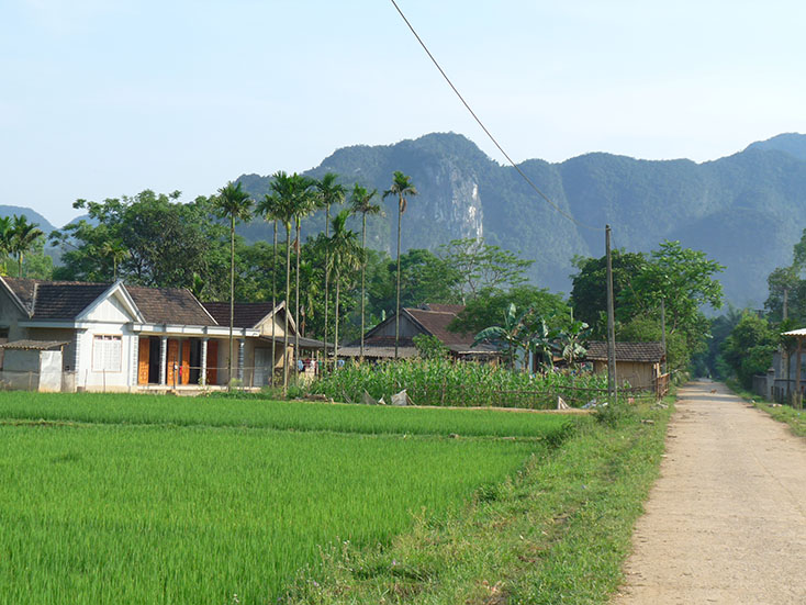 Vọng khúc quê