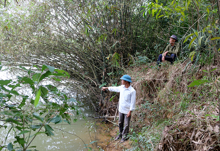 Phấp phỏng bên sông...