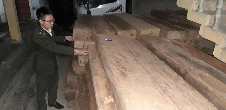 Minh Hóa: Một ngày bắt 2 vụ vận chuyển gỗ lậu