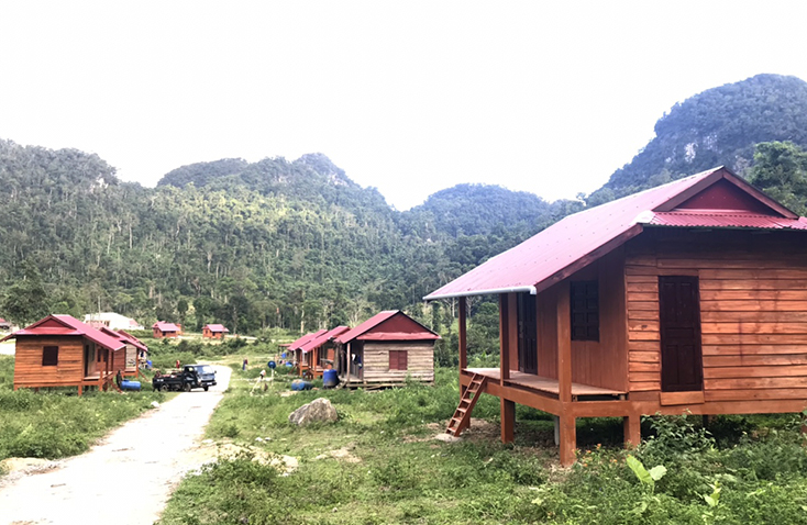 Sức trẻ lên rừng xuống biển