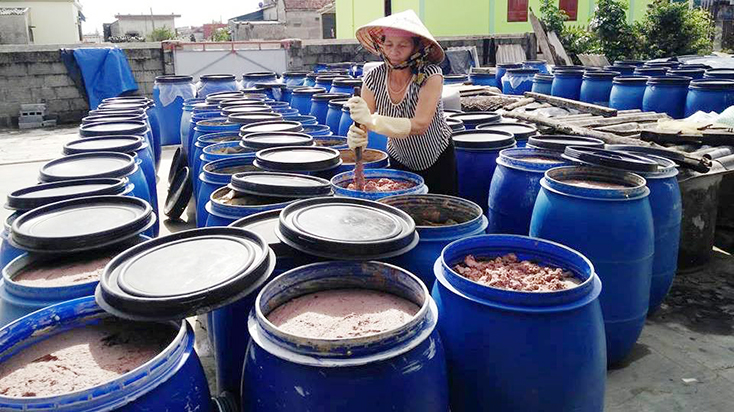 "Hậu phương" của biển…